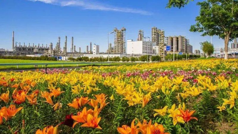 建筑用化工原料，你知道都有哪些吗？**